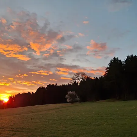Brentenholz Nachhaltig&naturnah