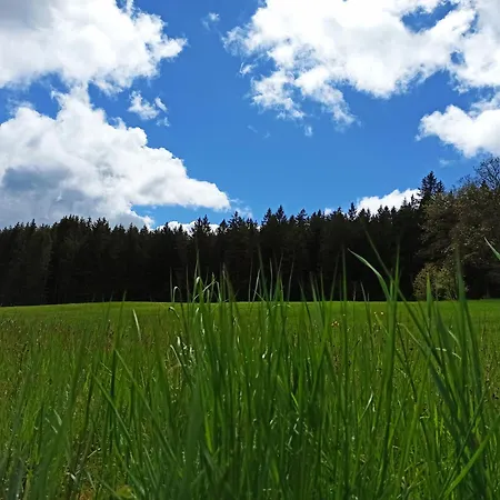 Apartamento Brentenholz Nachhaltig&naturnah *