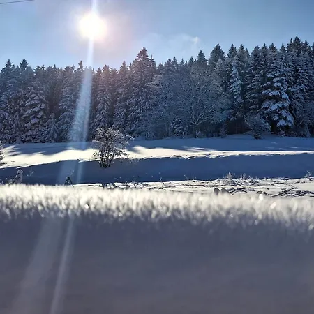 Brentenholz Nachhaltig&naturnah *