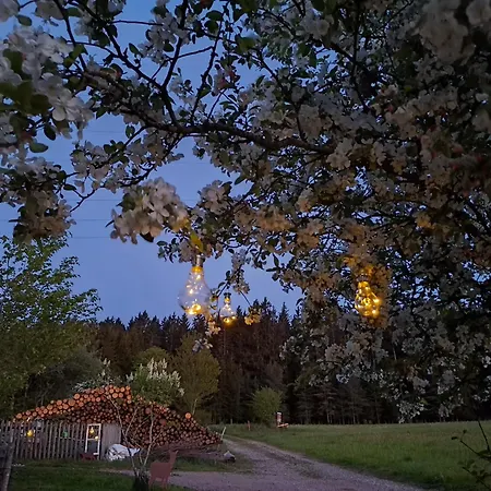 Lägenhet Brentenholz Nachhaltig&naturnah Brigach