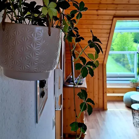 Apartment Brentenholz